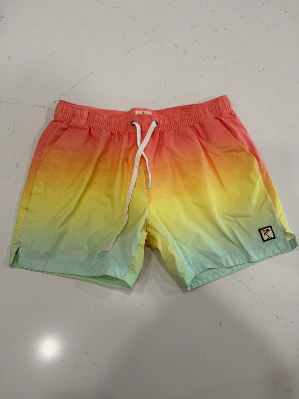 Marine Layer Men’s Rincon Swim Short - Large